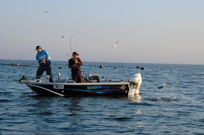 Mayhem salmon action. © Jarrod Day
